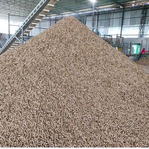 pellets
